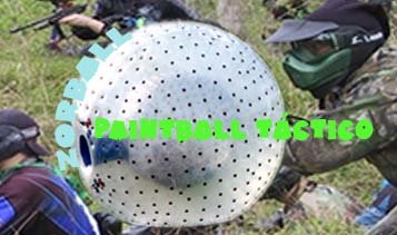 paint-zorb