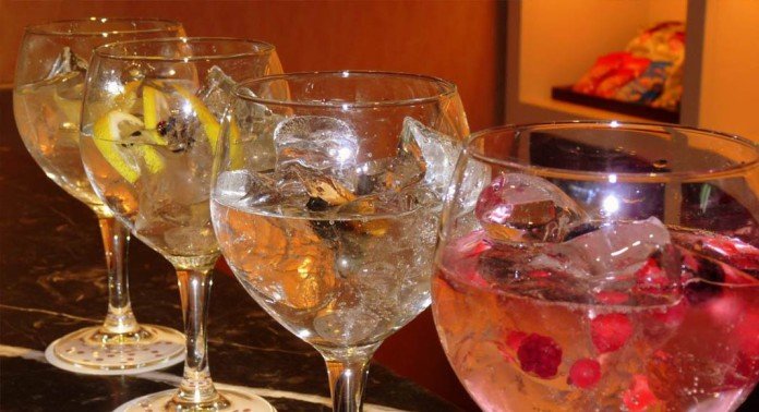 Cata Gintonics Despedidas Tarragona Cata Gintonics Despedidas Tarragona
